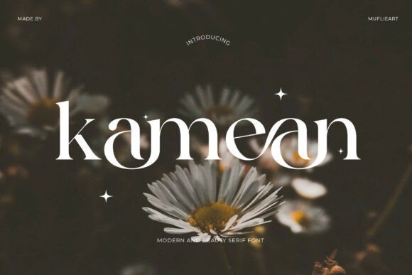 Kamean: Organic Sophistication in Modern Typography